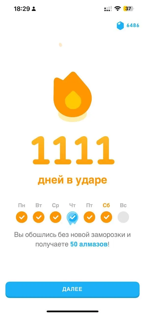 The Duolingo language-learning app